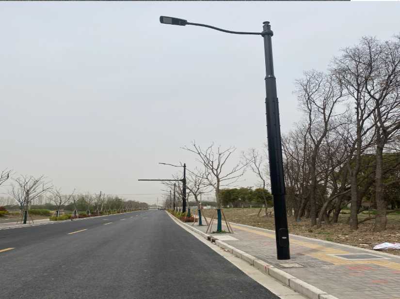 华蓥市上海综合杆 太阳能路灯工程